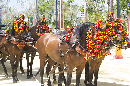 caballos de Jerez